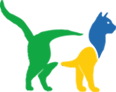 Kedi