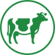 Ruminant Ürünleri