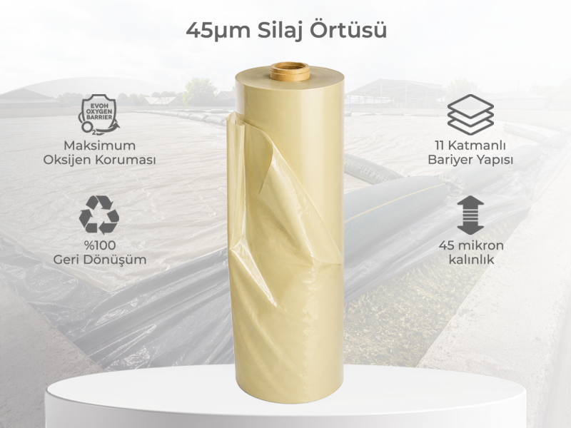 SEALPLUS 12*50 BEIGE 45