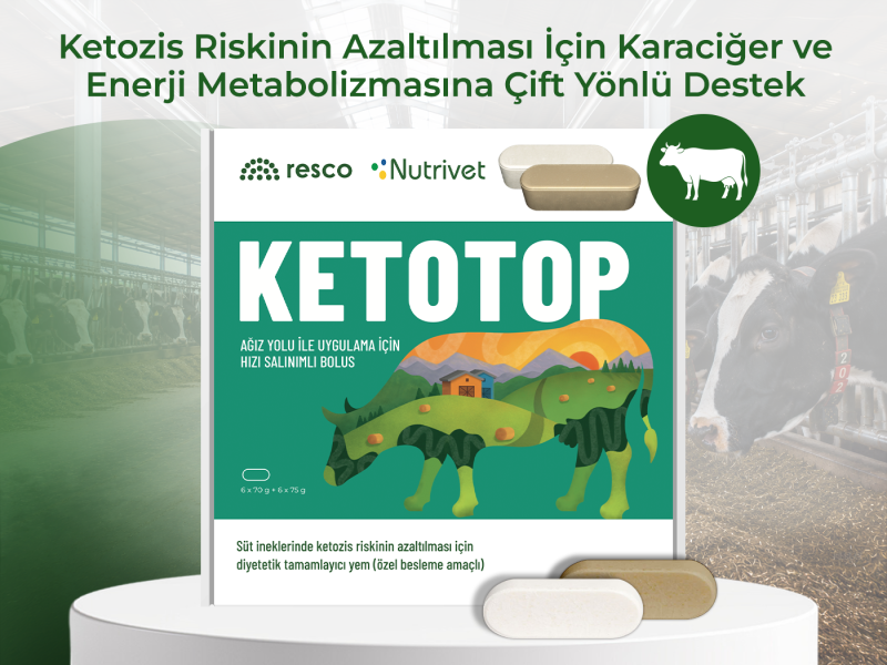 KETOTOP