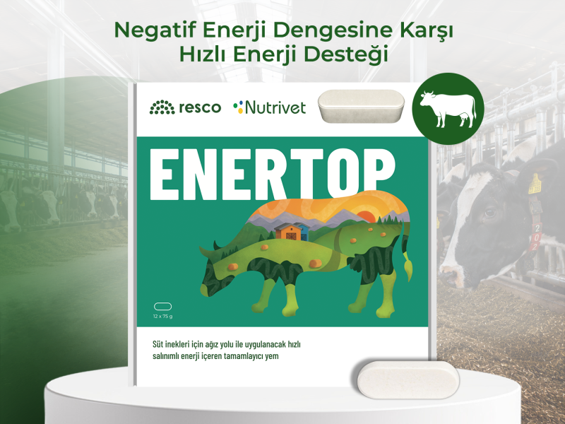 ENERTOP