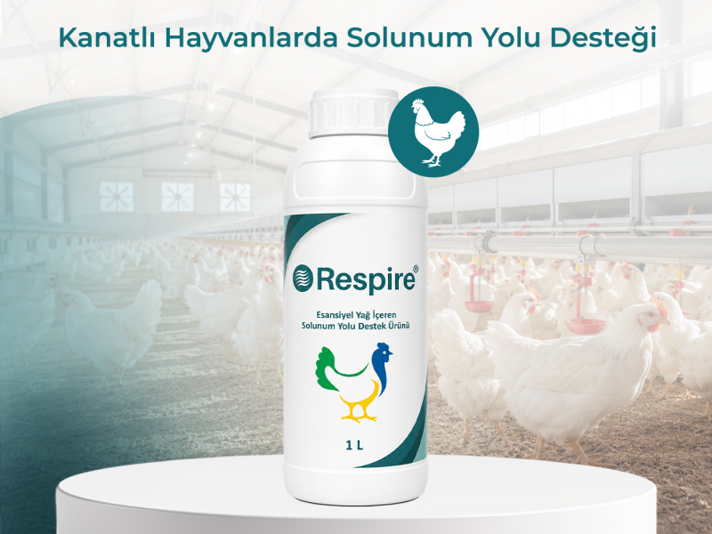 RESPIRE POULTRY 1 LT