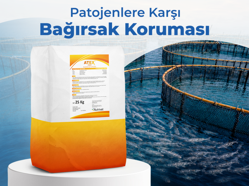 ATEX AQUA
