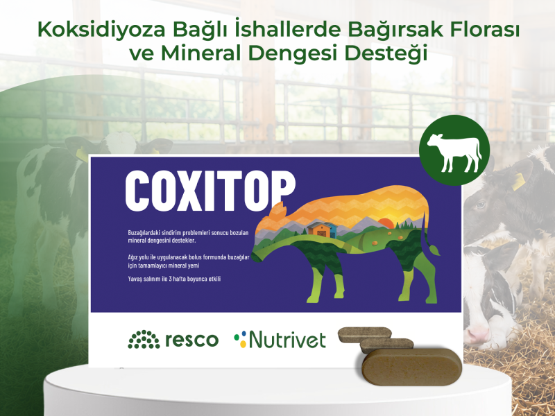 COXITOP