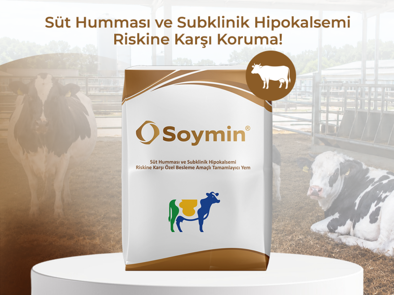 SOYMIN