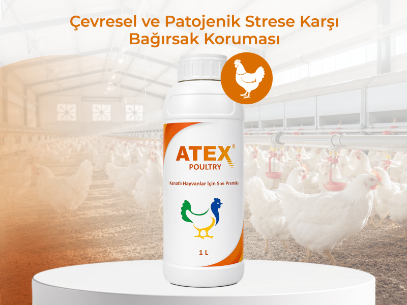 ATEX POULTRY LİKİT 1 LT