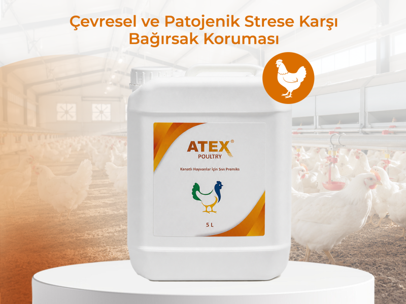 ATEX POULTRY LİKİT 5 LT