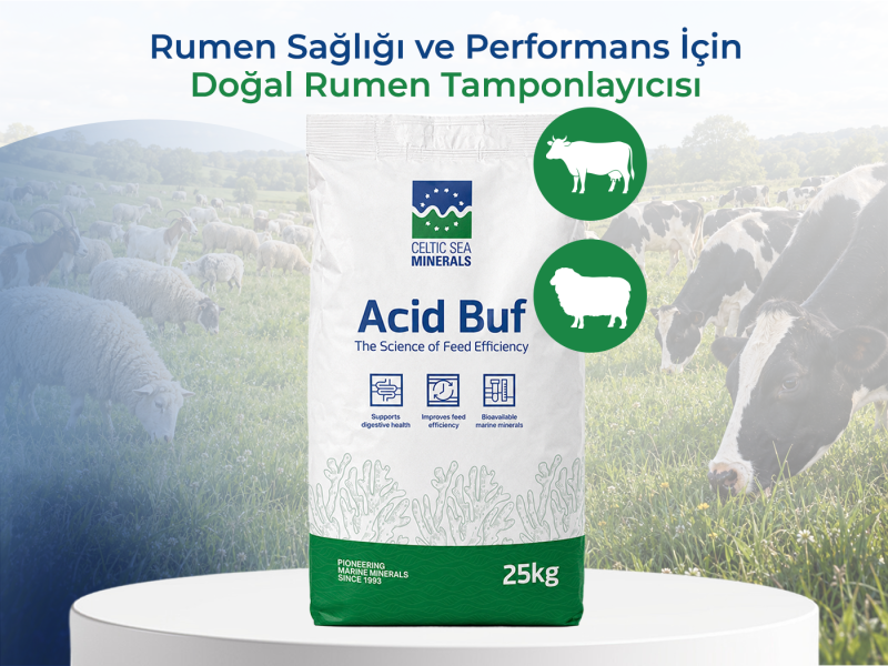 ACID BUF